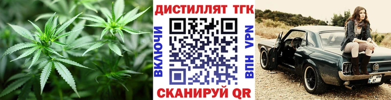 Купить где  Скопин  Дистиллят ТГК концентрат 
