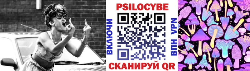 Купить где  Скопин  Галлюциногенные грибы Psilocybe 